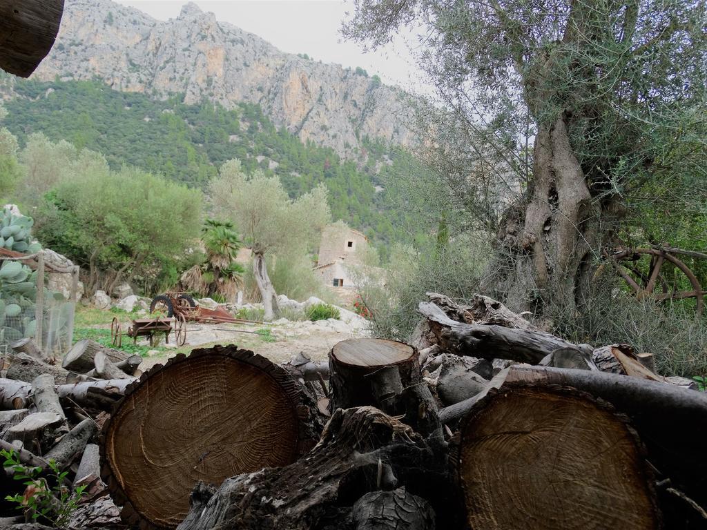 Agroturismo Balitx D'avall *