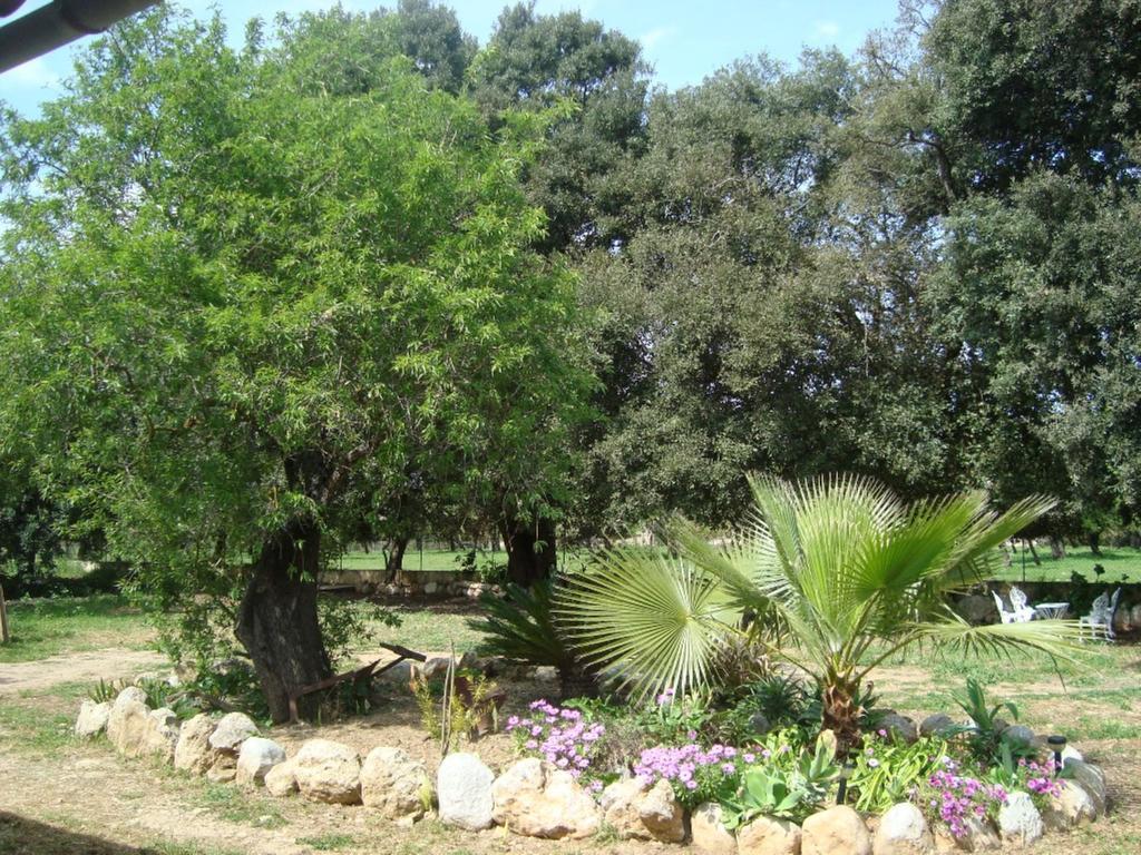 Sa Figuera Blanca *