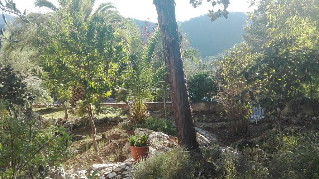 Villa Can Marquesi *