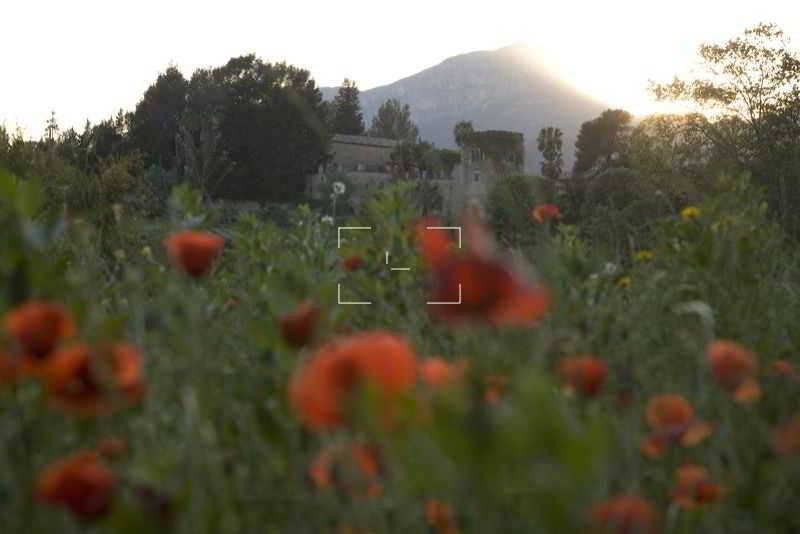 Son Pont Agroturismo