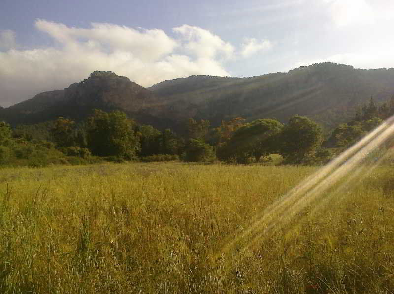 Son Pont Agroturismo *