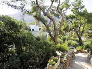 Bed & Breakfast Pinos