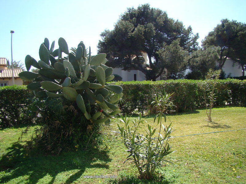 108d - Three Bedroom 2* Porto Cristo