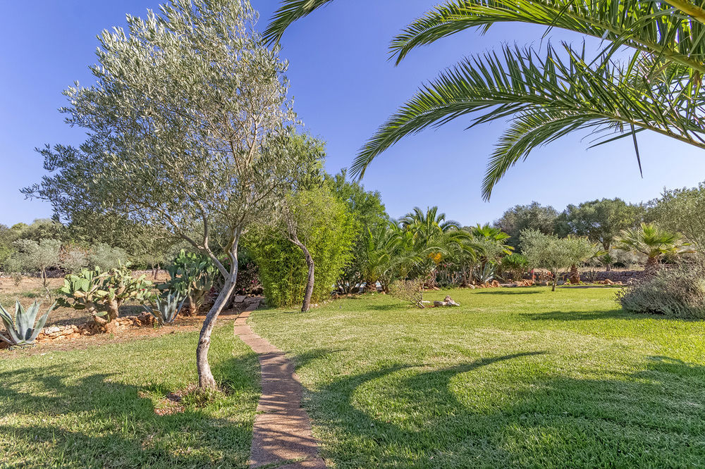 Casa Redonda Costitx (Mallorca)