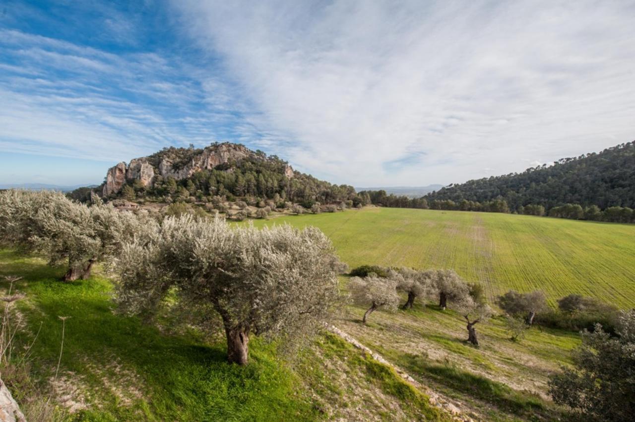 Bessó Mancor De La Vall