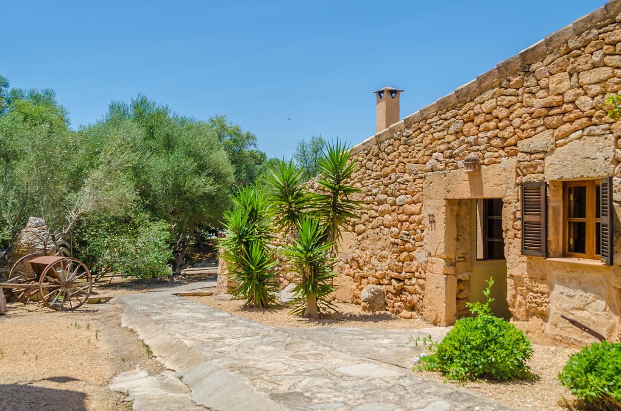 Son Sureda * Manacor (Mallorca)