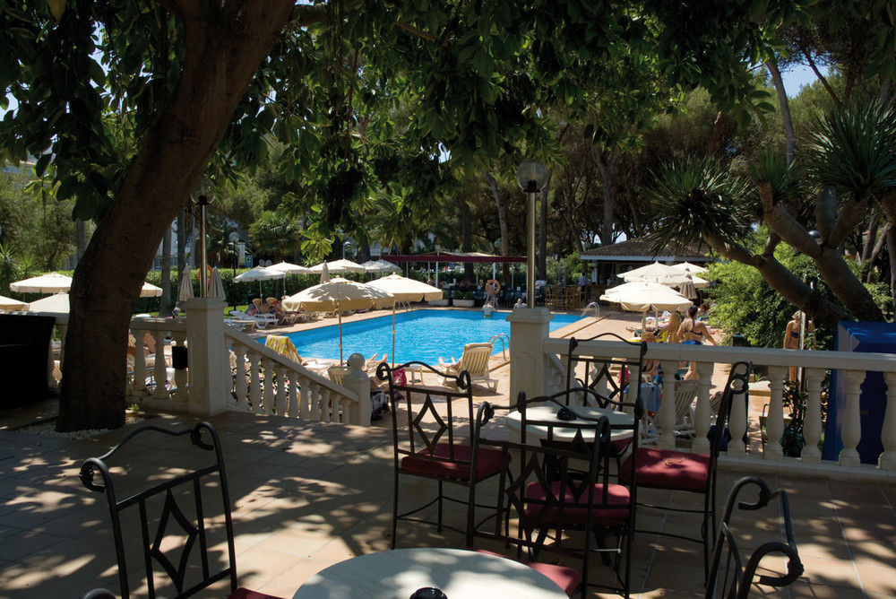 Hotel Riu Festival 4*
