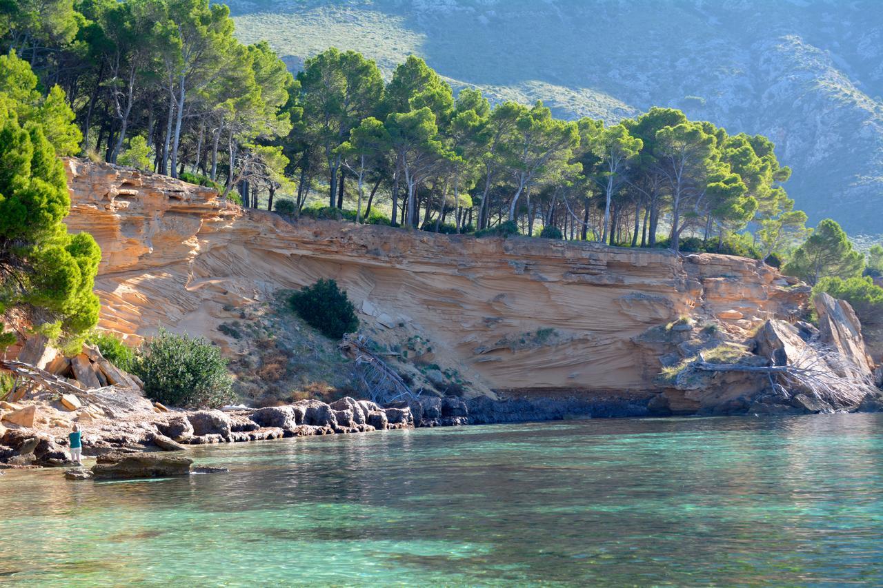 Front Line In Son Serra