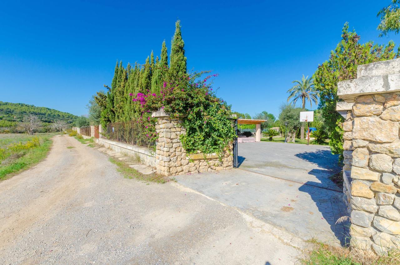 Rosada Villa Alcúdia