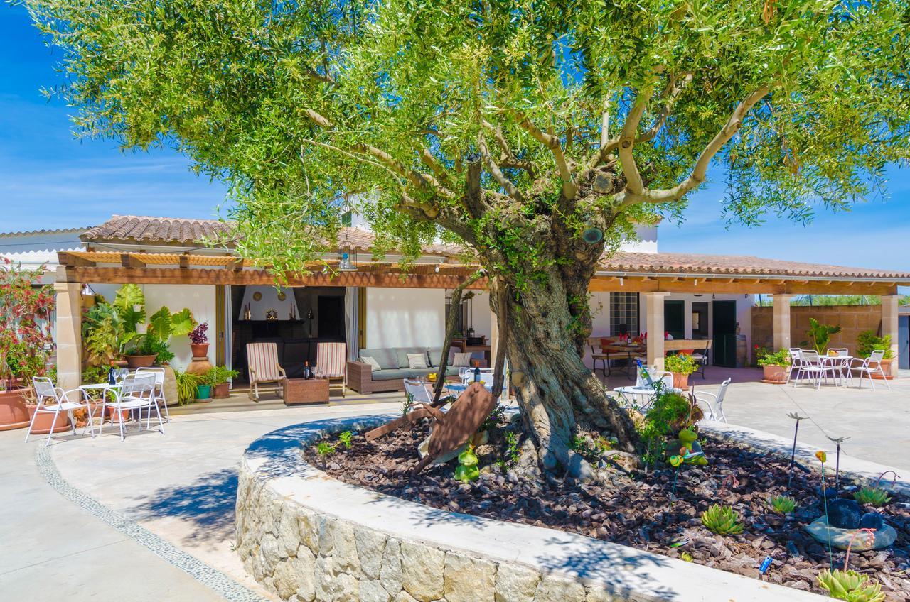 Son Vanrell Villa