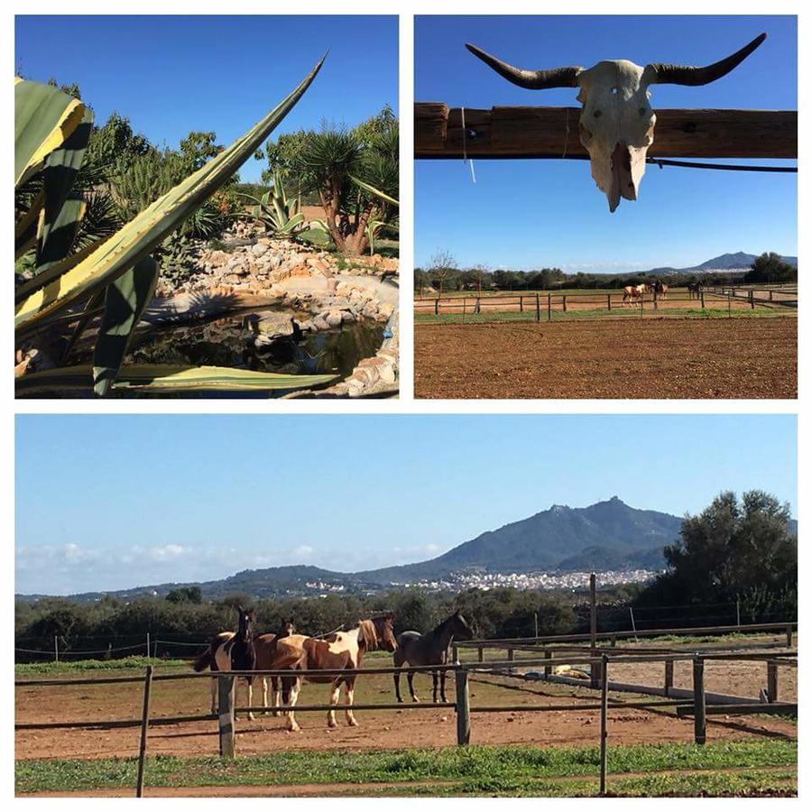 Bed & Breakfast Hacienda D'armando Felanitx