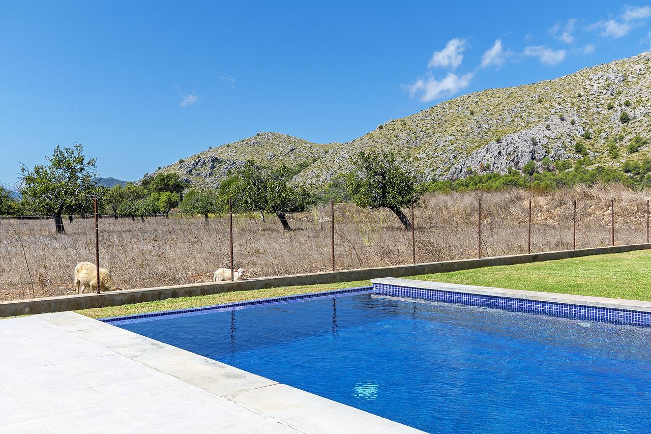 Vinya 3 * Puerto Pollensa