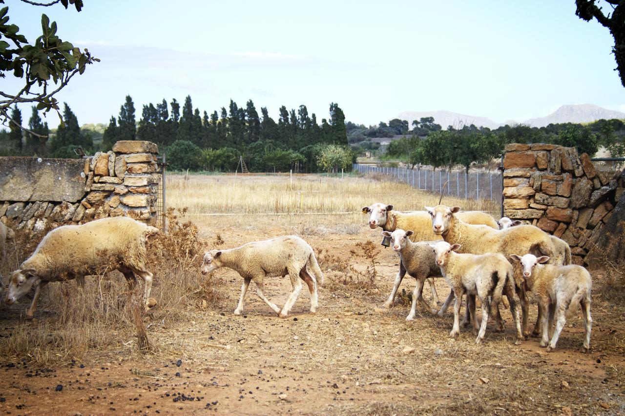 Apartamento Pere Rei Son Serra de Marina