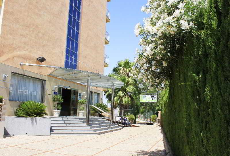 Don Miguel Playa Hotel