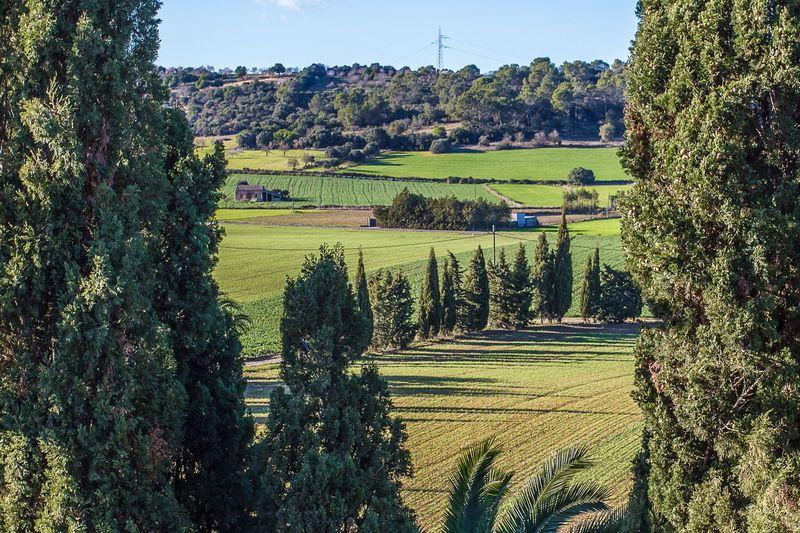 Hotel Son Foguero - Adults Only
