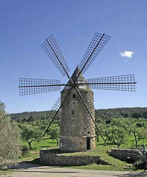 Villa Es Moli De Son Maiol *