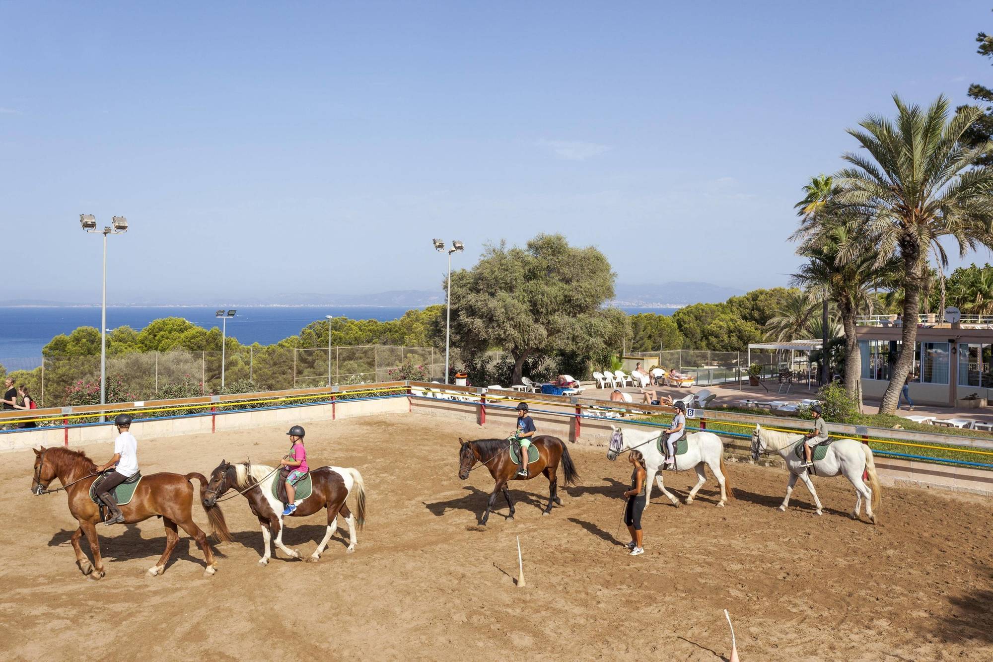 Sun Club El Dorado Cabo Regana (Mallorca)