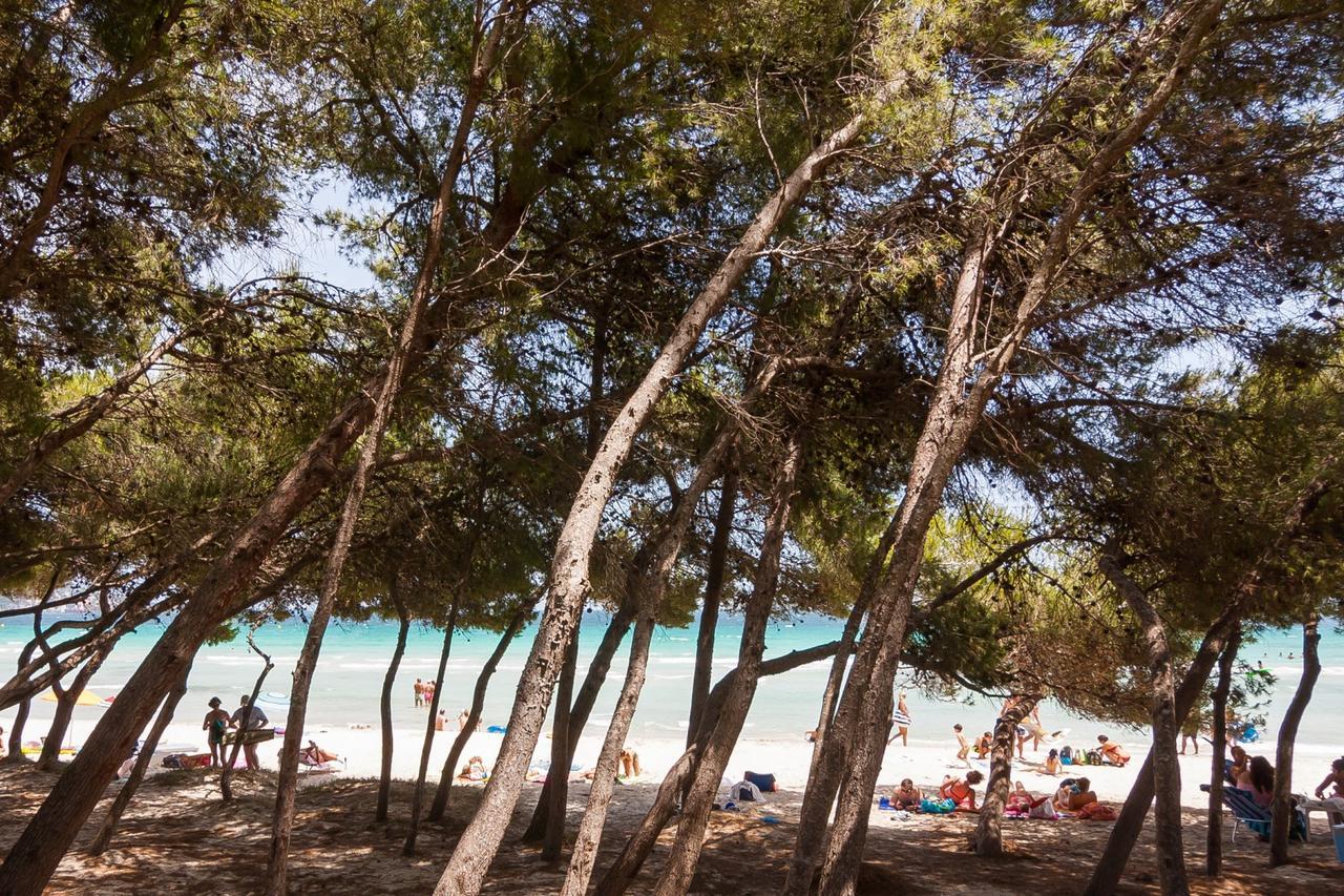 Chalet Proa *