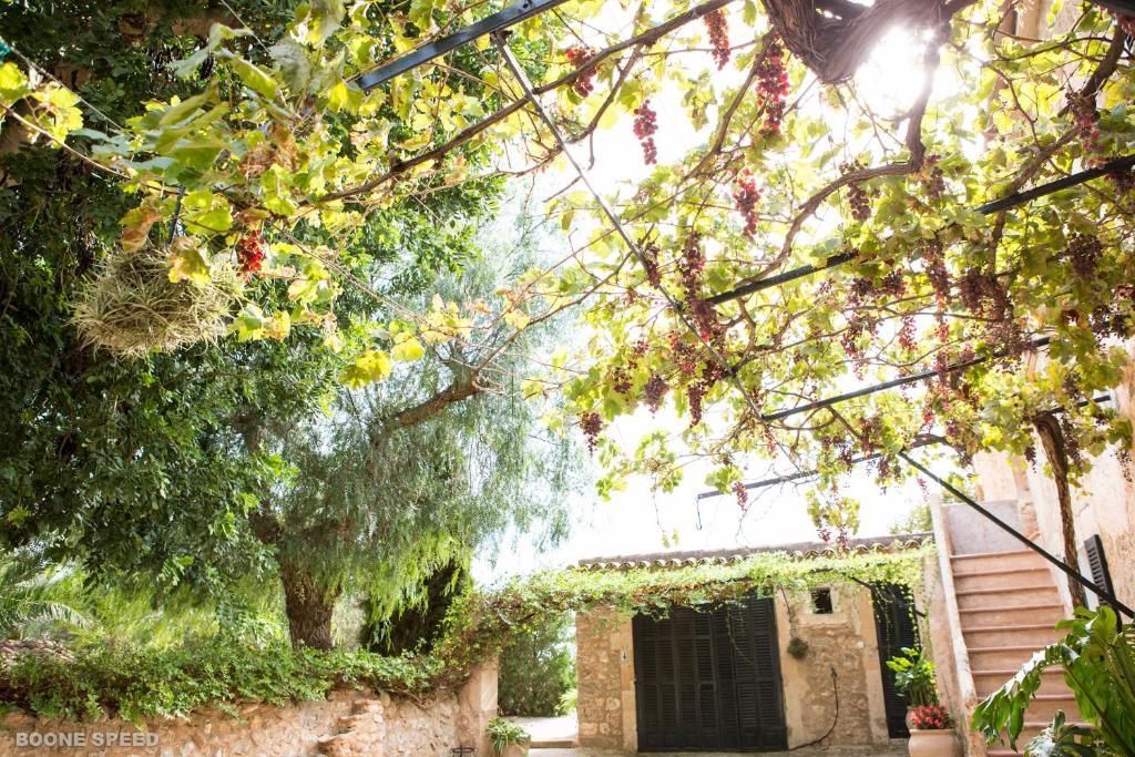 Agroturismo S'horabaixa *