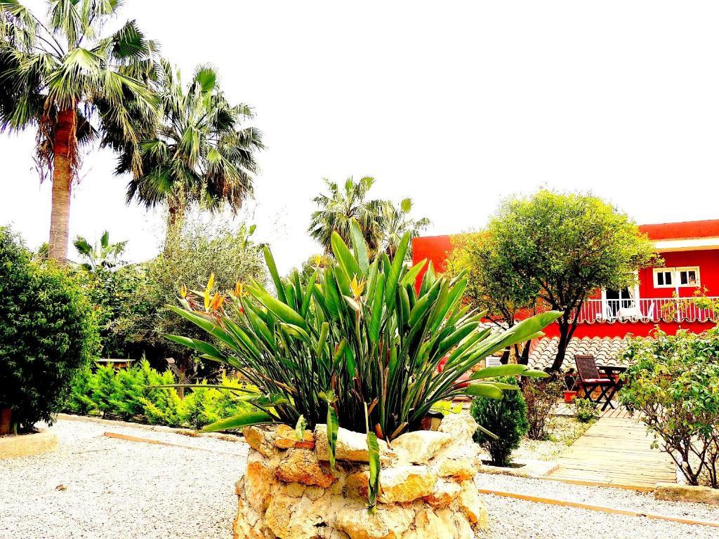 Hotel Palmer I Beachhouse Peguera