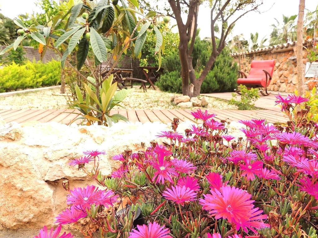 Palmer I Beachhouse Hotel Peguera