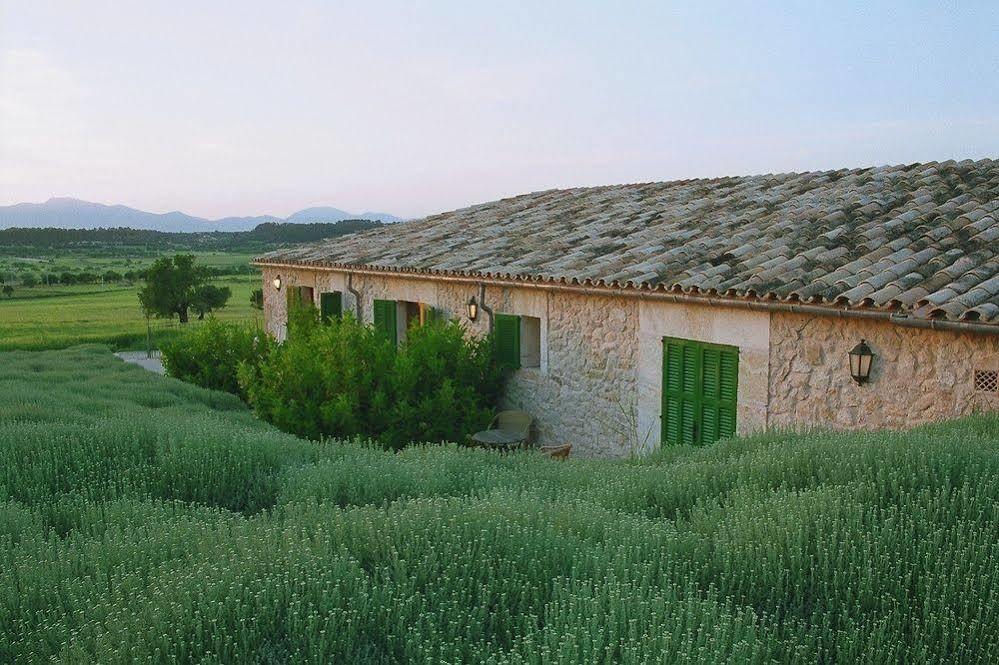 Casa rural Sa Rota