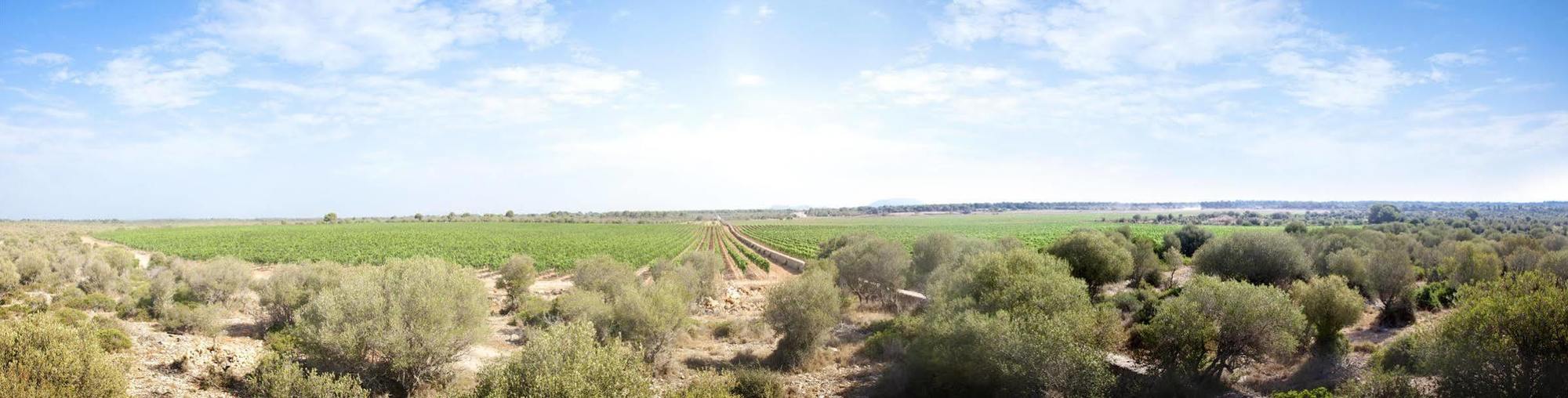 Country house Sa Bassa Plana Cala Pi (Mallorca)