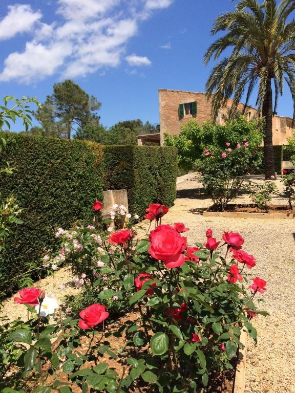 Son Bernadinet Casa rural Campos (Mallorca)