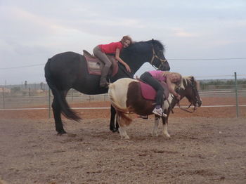 Finca Libertad Mallorca * Campos (Mallorca)
