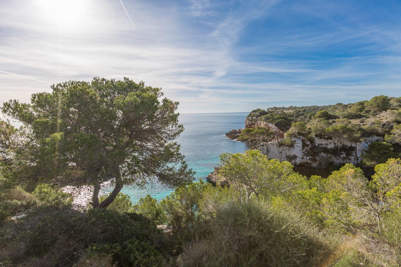 Es Jac Chalet Santanyi