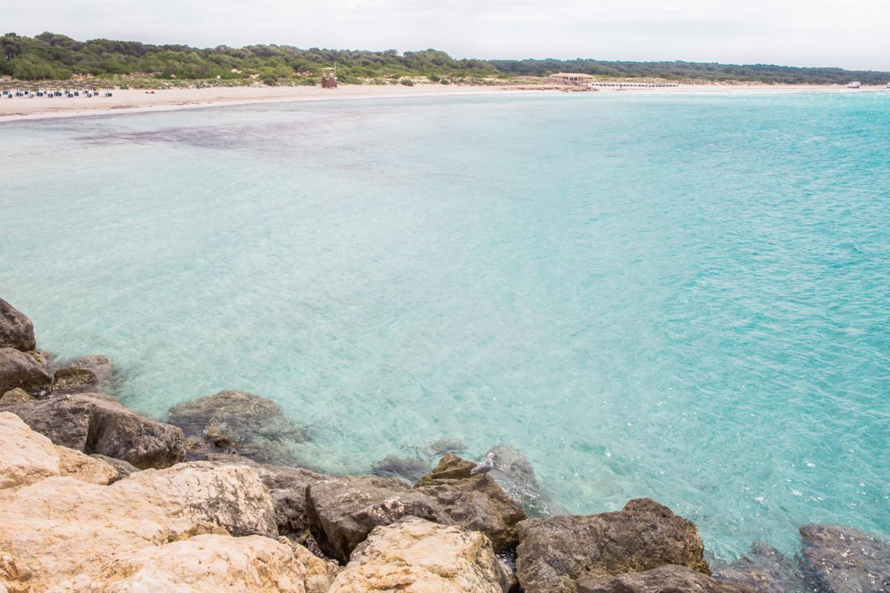 Marys * Campos (Mallorca)