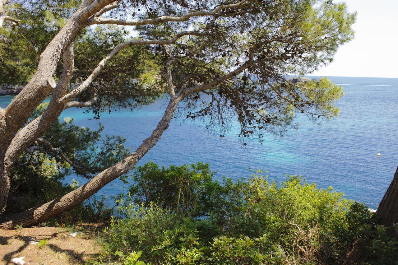 Ferrera Park 206 * Cala Ferrera (Mallorca)