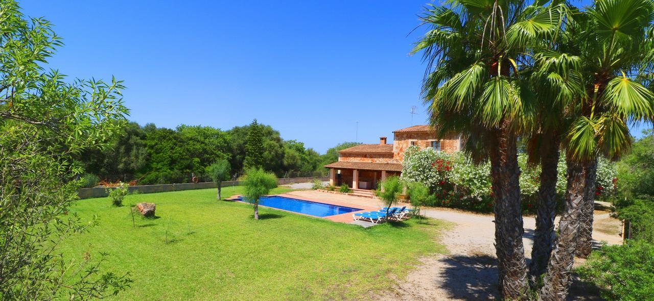 Toni * Campos (Mallorca)