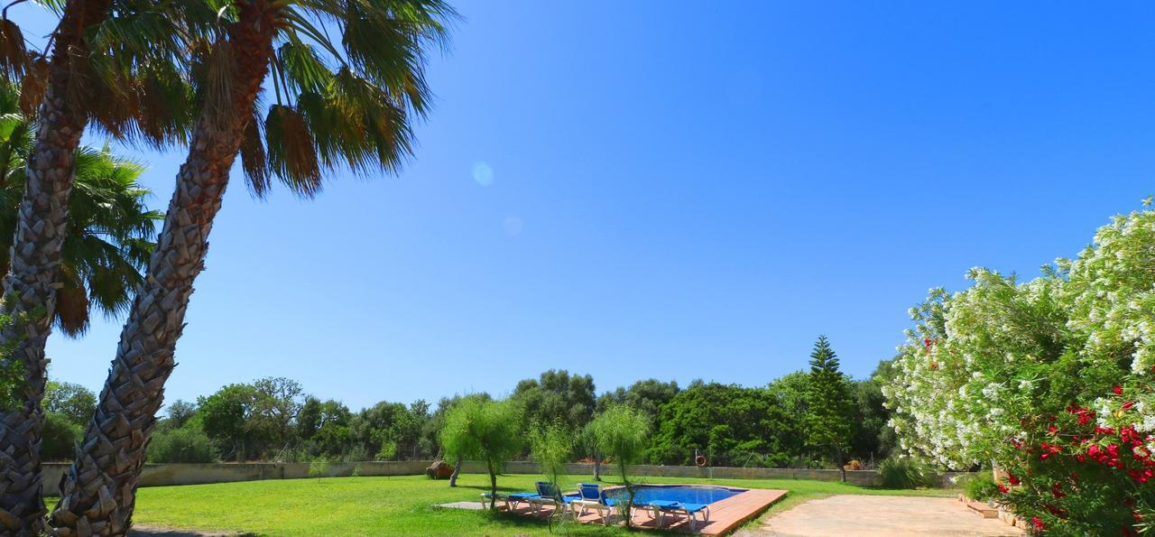 Toni * Campos (Mallorca)
