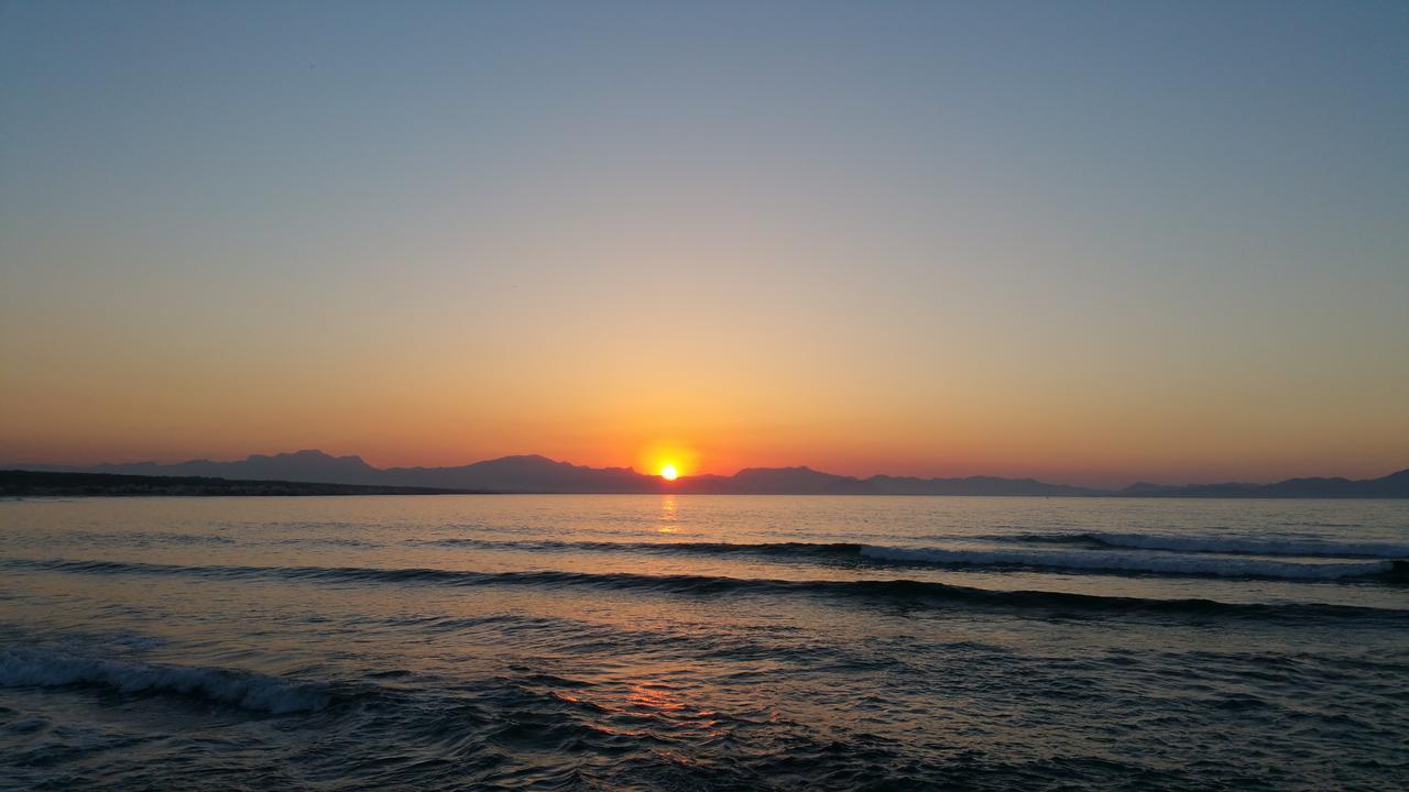 Rosers Colonia de Sant Pere