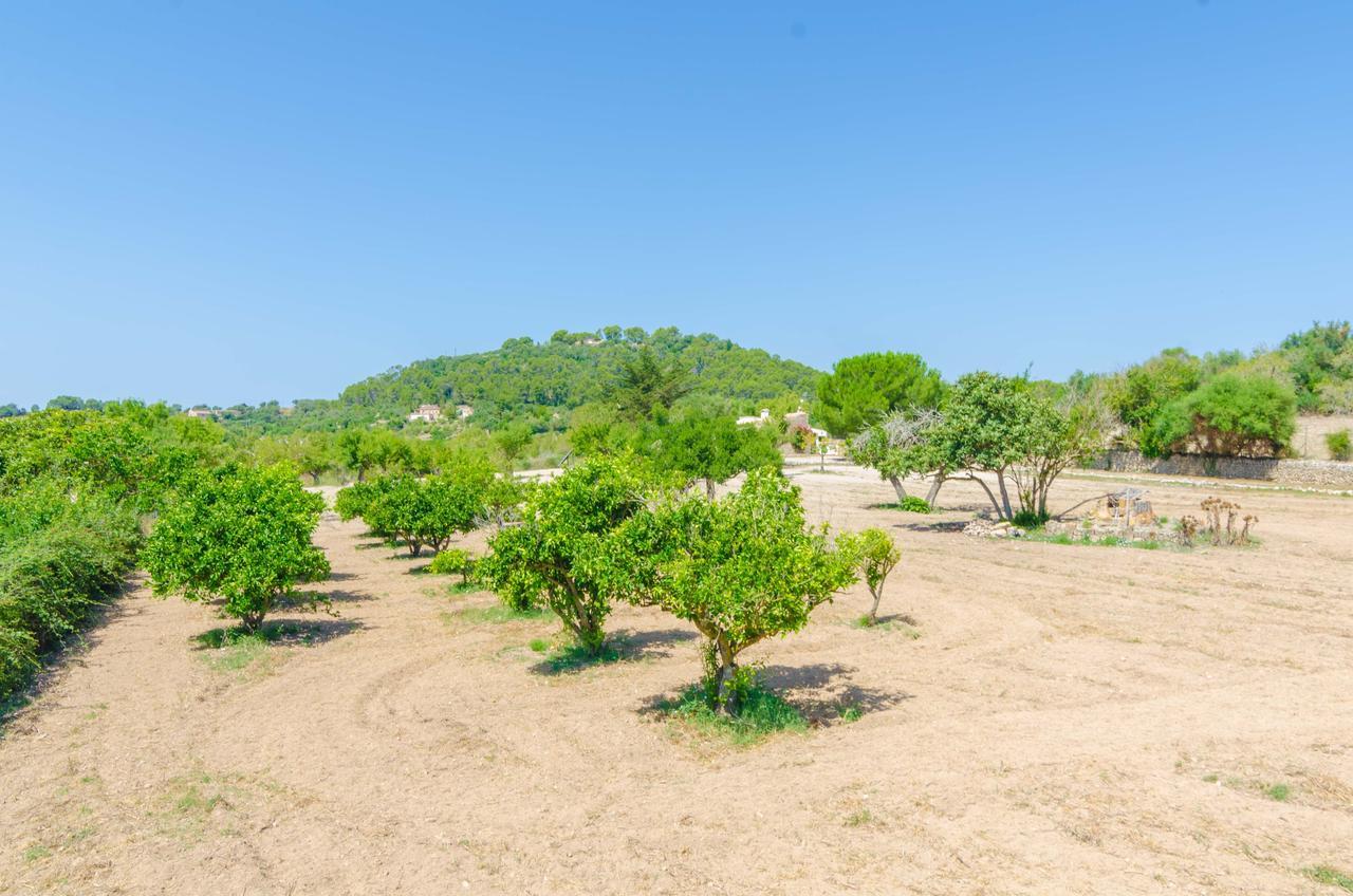 Sa Rota Montuiri (Mallorca)