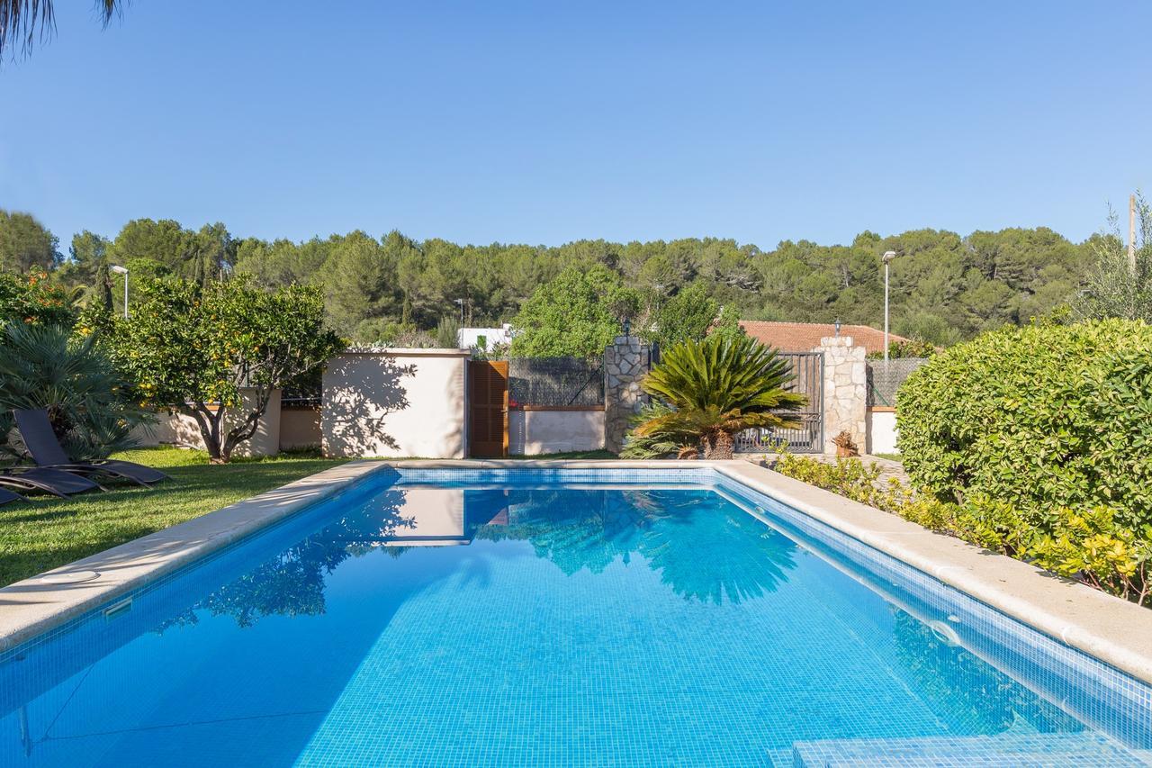 Chalet Cirerer