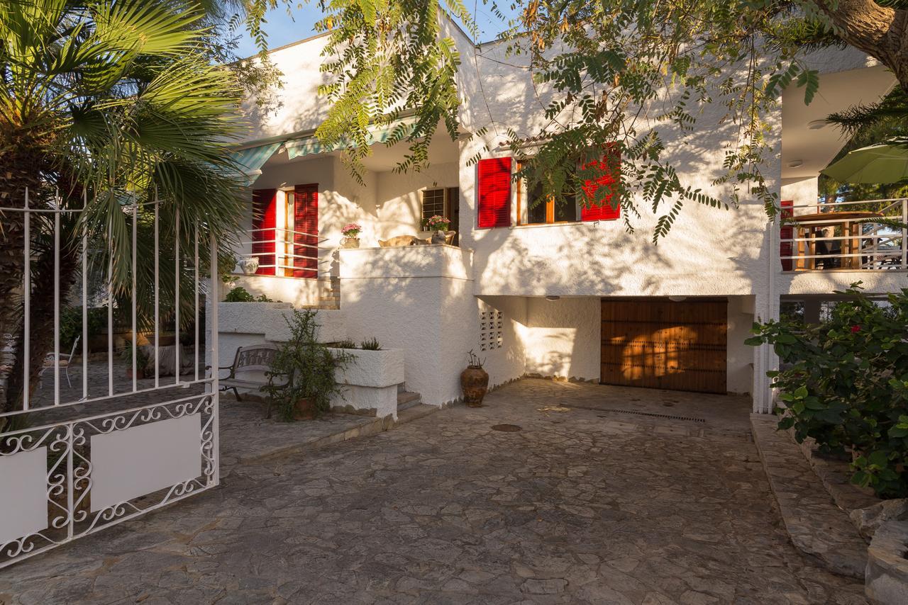 Cactus Chalet Puerto de Alcúdia