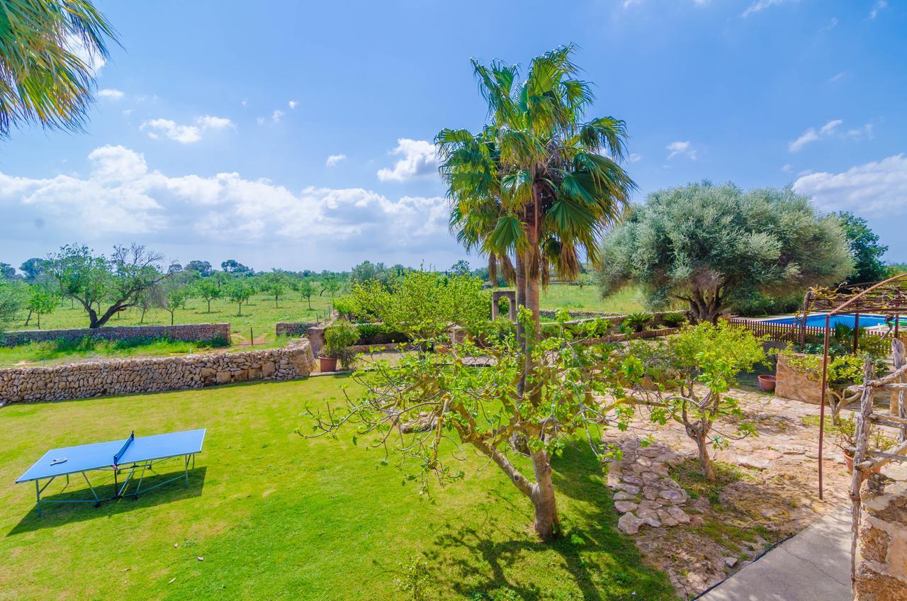 Cortera 2 Villa Llucmajor (Mallorca)