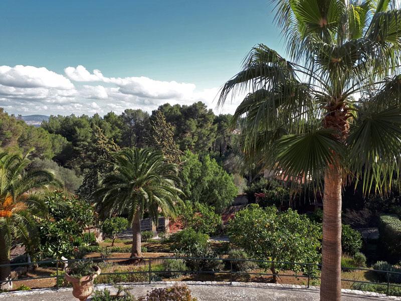 Casa De Vistas * Palma de Mallorca