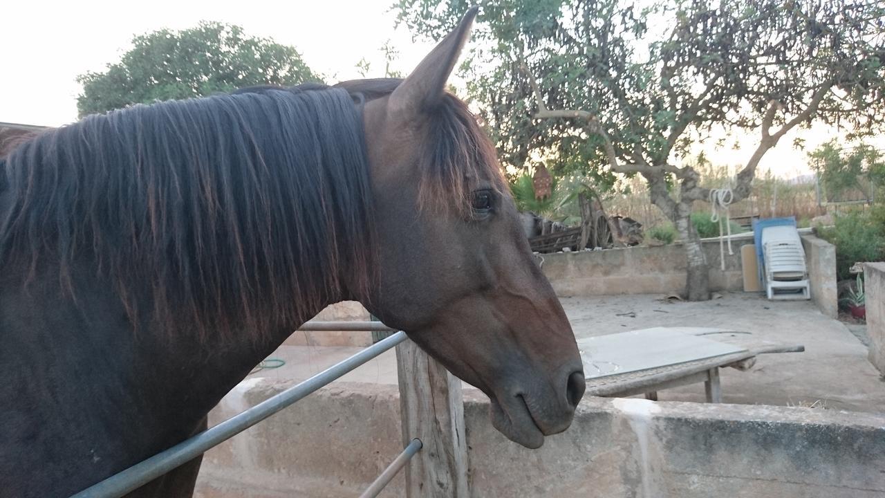 Sant Blai Casa rural *