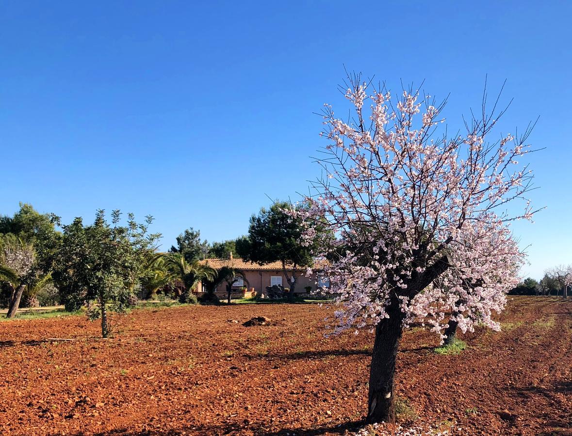 Agroturismo Saigo Portocolom (Mallorca)