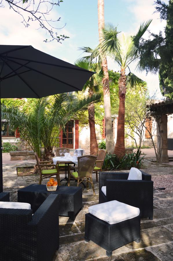Finca Consinet