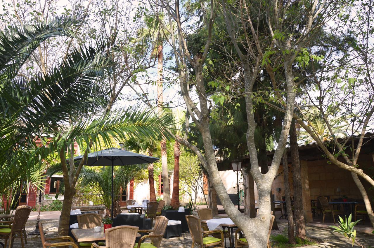 Finca Consinet Hotel 3*
