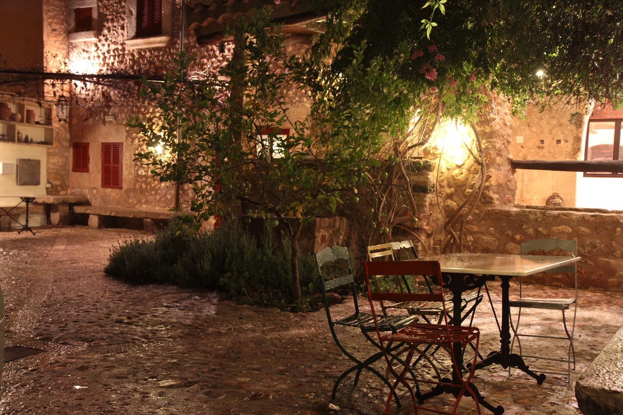 Finca Consinet
