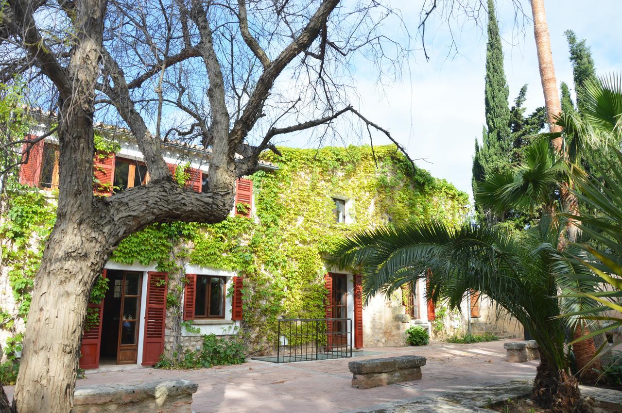 Finca Consinet 3*
