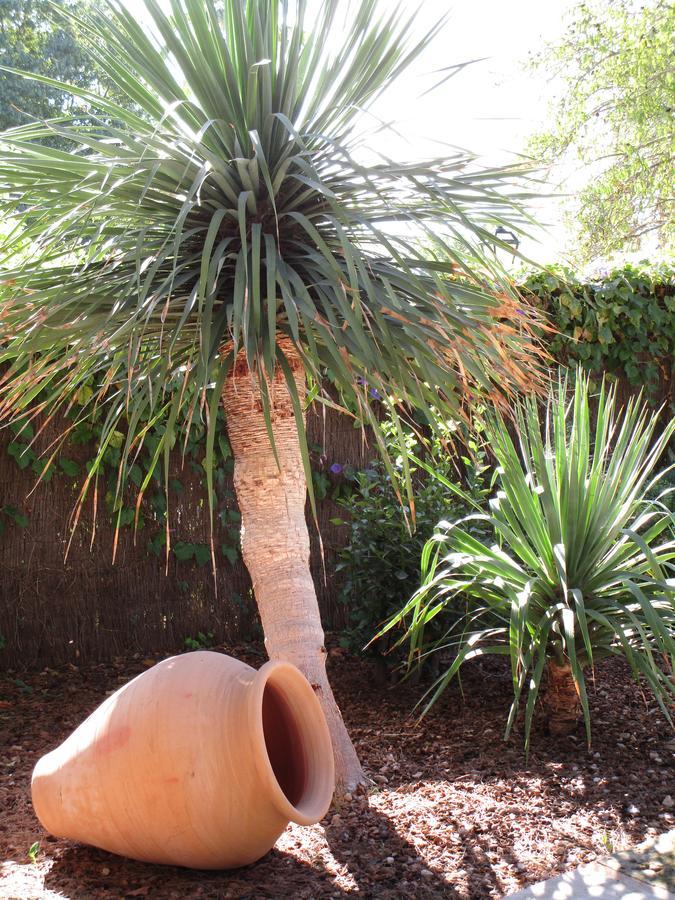 Hotel Finca Consinet 3*
