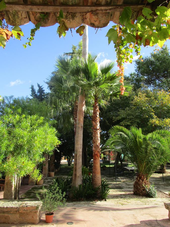 Hotel Finca Consinet 3*