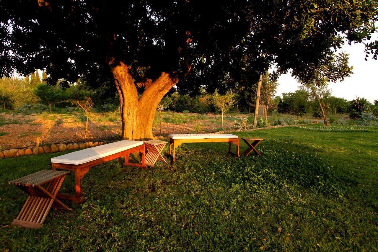 Farm stay Ca Na Susi