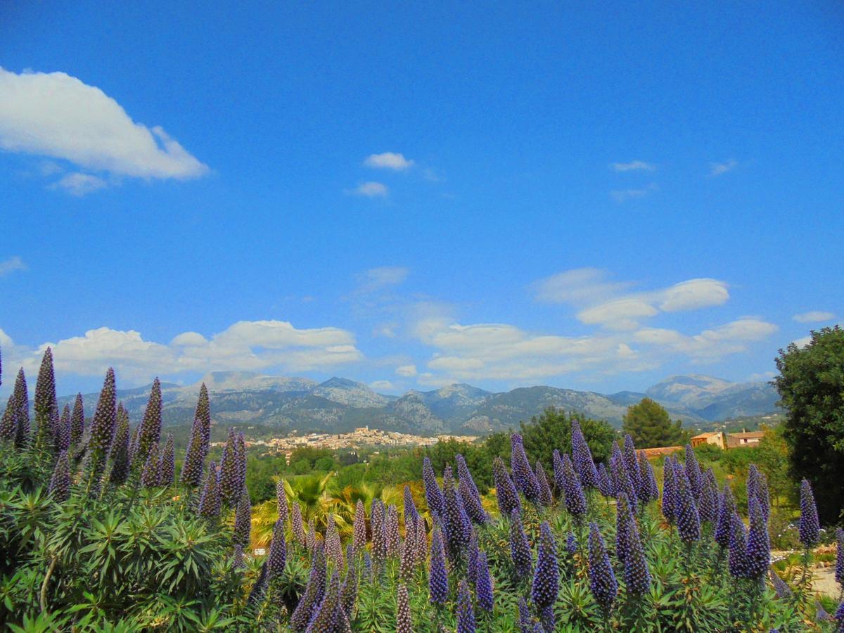 Apartamento Vista Selva (Mallorca)